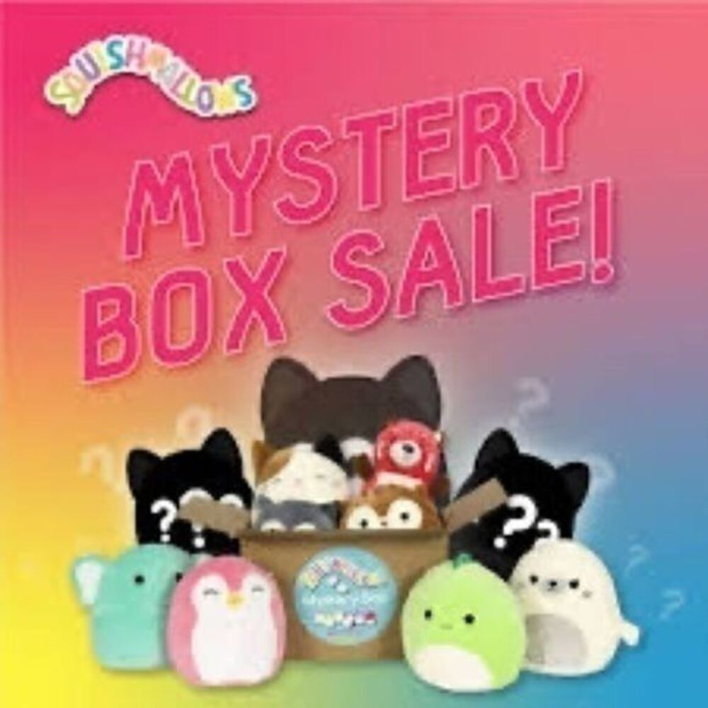 Mystery Box Squishmallows ONE 10”, 12”, 14”, 16” Valentines Day Or Regular NWT
